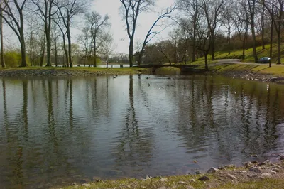 Shelby Park