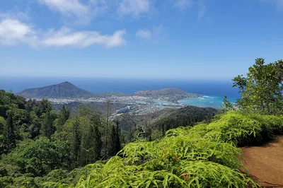 Kuli‘ou‘ou Ridge Trailhead