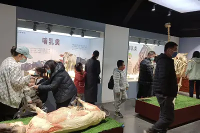 冬季遛娃好地方分享！郑州假期带娃嗨玩的3个好去处！