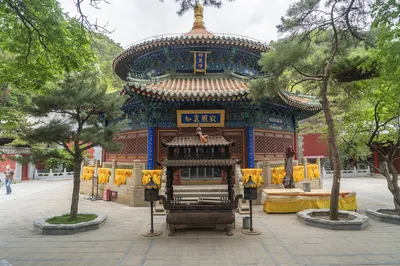 未見龍潭噴雪，只餘古柘棲殘。遊京西潭柘寺
