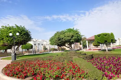 New Salata Park