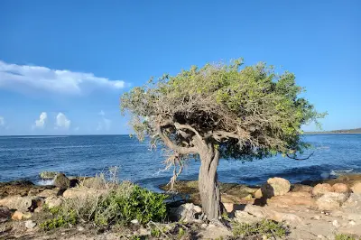 Playa Tamarindo