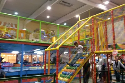 Family Fun