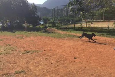 Parcao da Lagoa