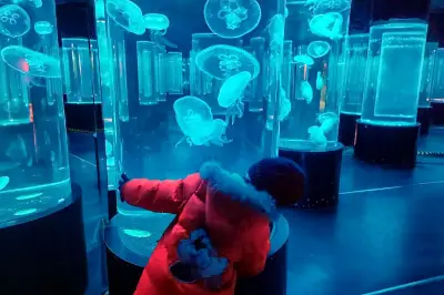 雲遊四海（1427）冬遊老虎灘海洋公園(下)珊瑚館
