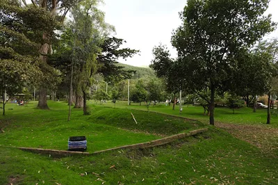 Parque Cedro Golf