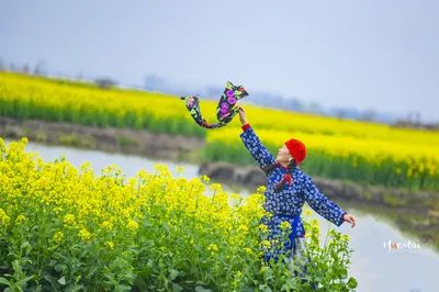 Heading to Xinghua in Spring Just for That Splash of Yellow in One of the World’s Four Great Flower Seas