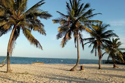 Belinda Serene Beach Resort