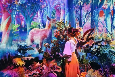 Korea's Newest Ultra-Fantastical Photo Spot Has Arrived! A Feast for the Senses, Absolutely Stunning! Add It to Your Long Holiday Travel List This Year!
