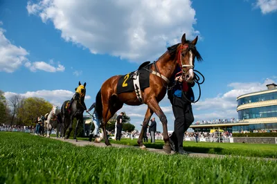 Sluzewiec Racetrack