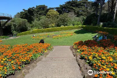 威廉敏娜女王花園