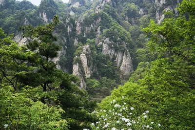 Hidden Gem: Lantian Wangshun Mountain - Yushan Lanhe Scenic Area