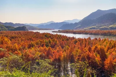 A Hidden Gem in Southern Anhui: A Stunning “Sichuan-Tibet Highway” with Scenic Views at Every Step, Capturing Hearts at First Sight!