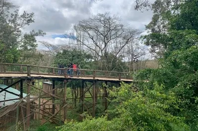Nairobi Safari Walk