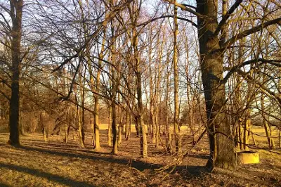 Ladronka
