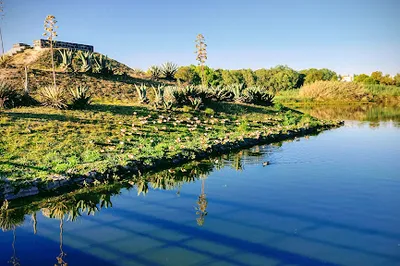 Centenario, Parque El Carmen de la Laguna Park