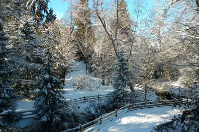 Renfrew Community Park