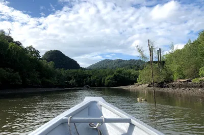 Langkawi Mangrove Santai-Santai@Kilim Geopark