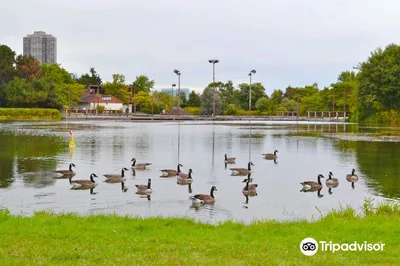 Humber Bay Park West