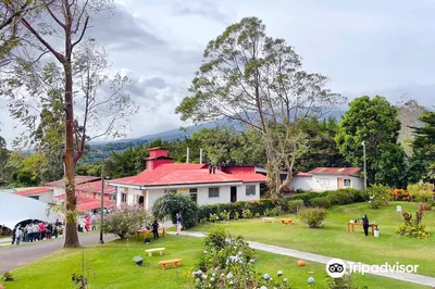 Doka Estate Costa Rica Coffee Tour and Plantation