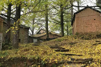 Datangbian Village