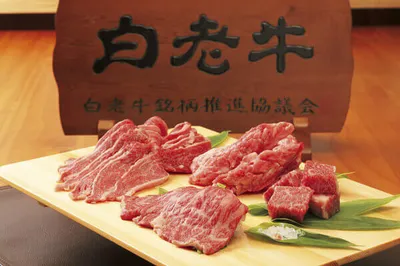 2021來北海道旅遊，札幌站前不可錯過的10家平價美食店。另附白老牛5家餐廳