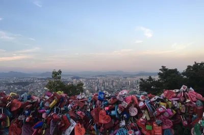 Once-in-a-Lifetime Encounter: Seoul, South Korea