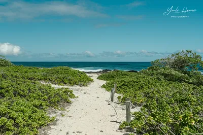 Hawaii Travel｜Hiking the Scenic Coastline at the Easternmost Point of Oahu: Kaiwi Shoreline Trail