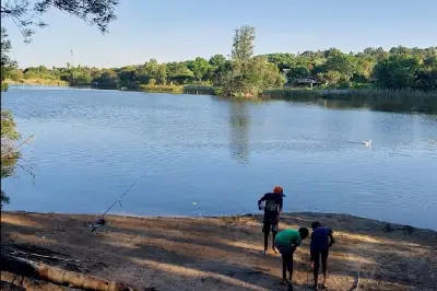 Golden Harvest Park