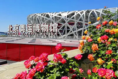 2019 Beijing Trip by Dawn Light