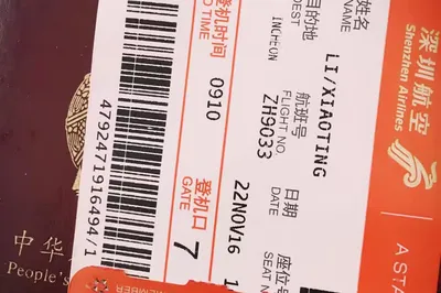 A Solo Trip to South Korea in 2016: Catching the Tail of Autumn!