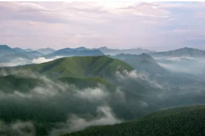 Spring outing in Xuancheng, strolling among mountains, waters, and bamboo seas