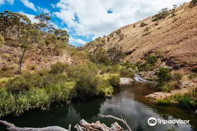 Werribee Gorge State Park (Parks Victoria)
