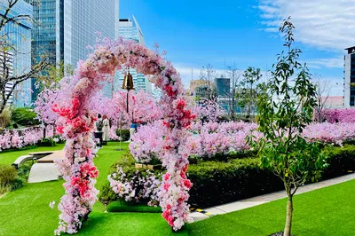 Sky Garden (5F Dai Nagoya Building)