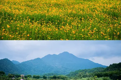 Guangdong's Most Beautiful Lake Hides a Stunning Valley: A Secluded Resort for Mountain and Water Lovers