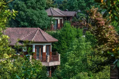 A Hidden Villa Cluster in the Mountains of Zhejiang and Anhui: Expansive Southeast Asian Architecture with an Exotic Vibe