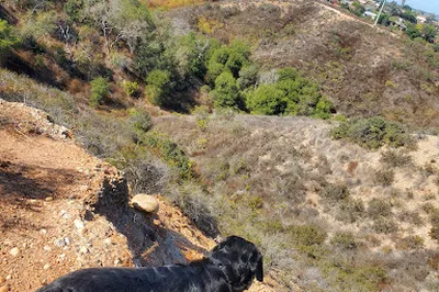 Marian Bear Memorial Park