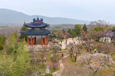 春天來南京旅遊，踏青賞花看美景嚐美食感受歷史人文