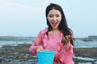哈仙島王老五帶你趕海撿海參？撿到還給免費做，遊客：竟有這好事