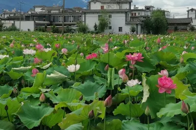 銀橋鎮
