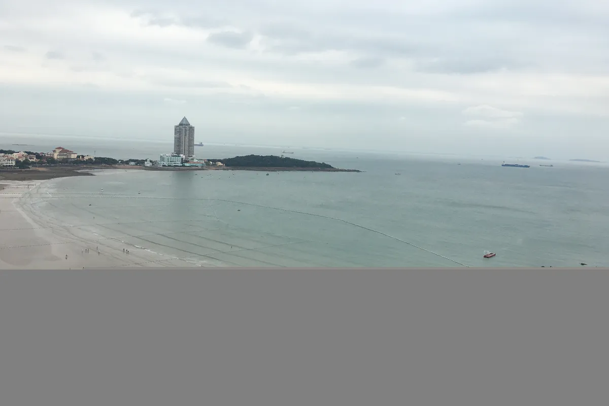 2021秋冬的青岛依旧碧海蓝天，海水凉凉，海鸥满天~~~