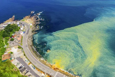 阴阳海