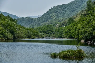 The Once-Disdained Countryside Has Now Become a Hot Commodity. Do You Know Why?