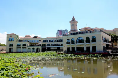 A Day Out at Fengxian Four Seasons Ecological Garden and Shanghai Fish Park