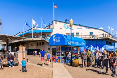 海灣水族館