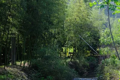 杭州的土菜「大唐隆宴」，背後有位叫老唐的好食材獵人。