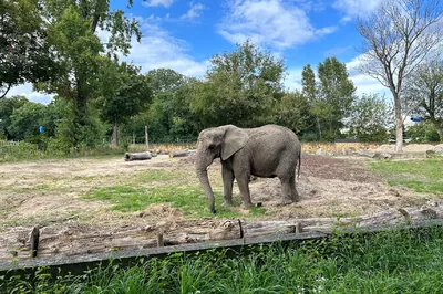 City Zoological Garden in Warsaw