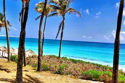 Dolphin Beach Point