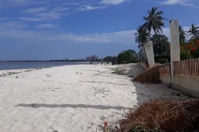 Msasani Beach