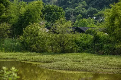 A Village Split by an Old Railway, with Scenery More Beautiful Than Imagination, Like a Paradise